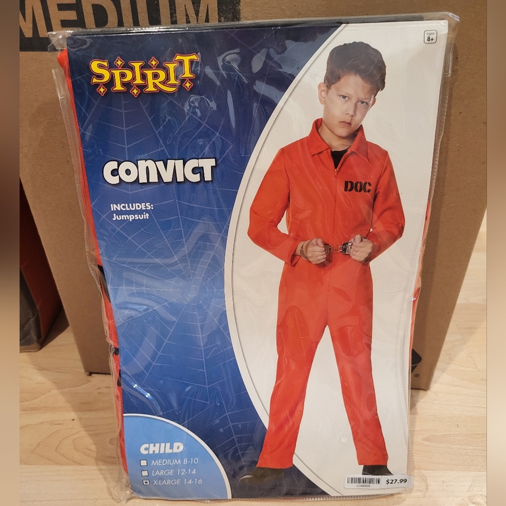 Halloween Convict Costume